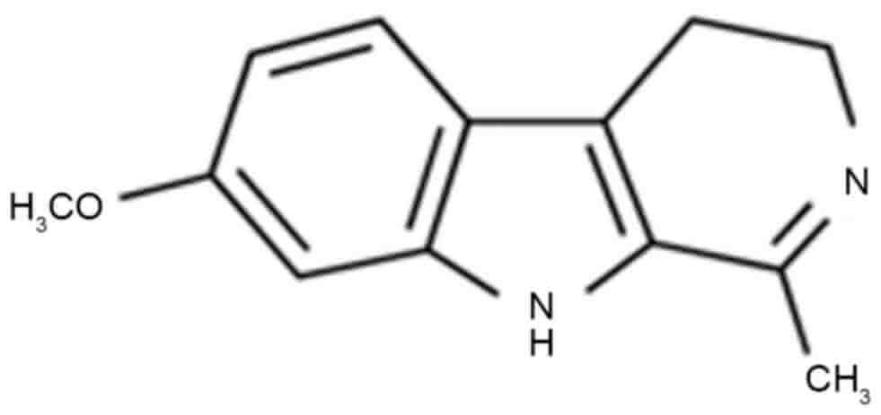 zon fas symbol