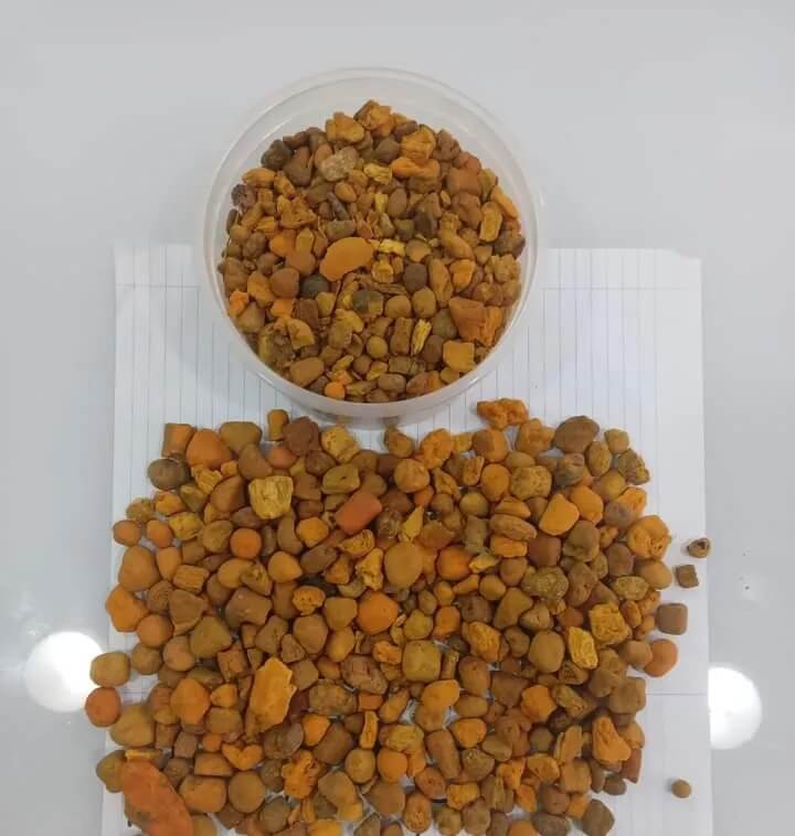 Cow Ox Gallstones